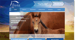 Desktop Screenshot of brackenequine.com